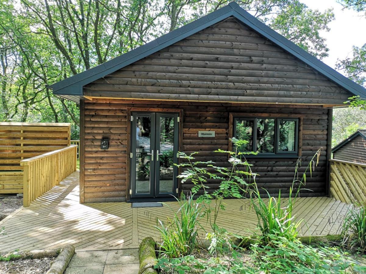 Bluestone-Hot Tub-Woodlandlodges-Pembrokeshire-Tenby 카마던 외부 사진